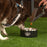 Blackstone Insulated Pet Bowl