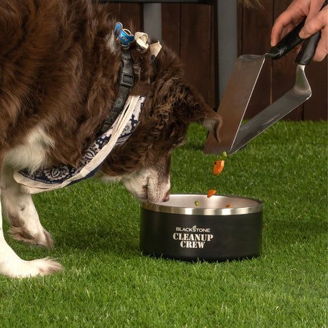 Blackstone Insulated Pet Bowl